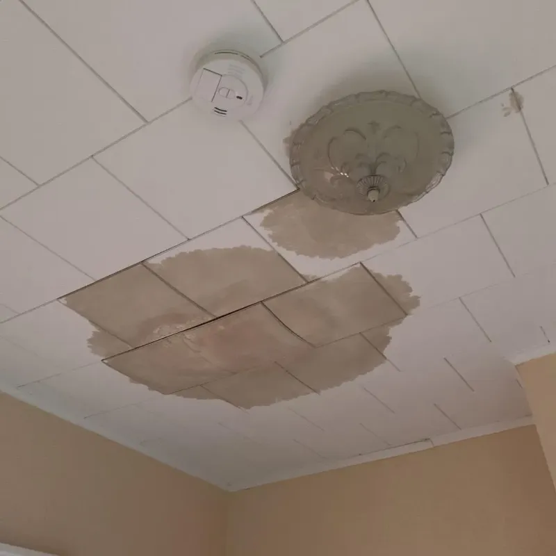 Ceiling Water Damage Repair in Cullen, LA