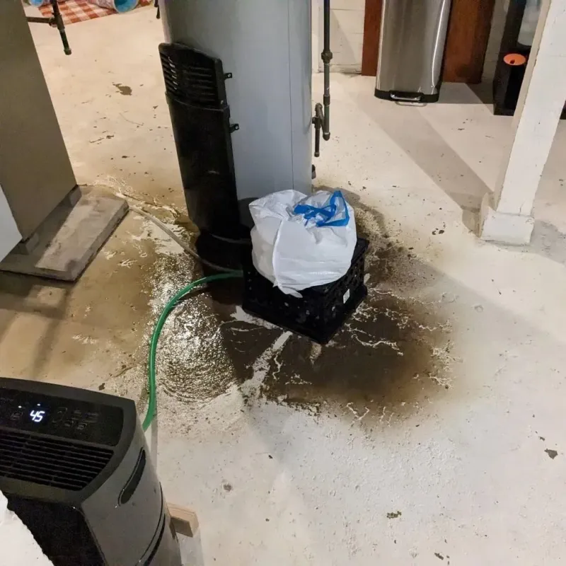 Sewage Backup Cleanup Service in Cullen, LA